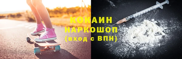стаф Алексин