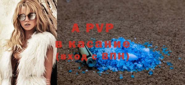 стаф Алексин