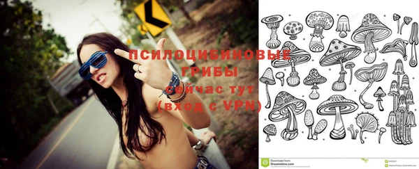 дживик Алексеевка
