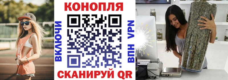 Бошки Шишки гибрид Туймазы